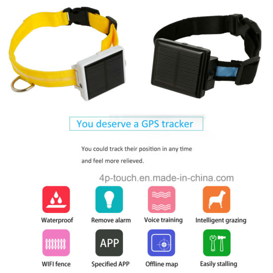 solar powered gps dog collar