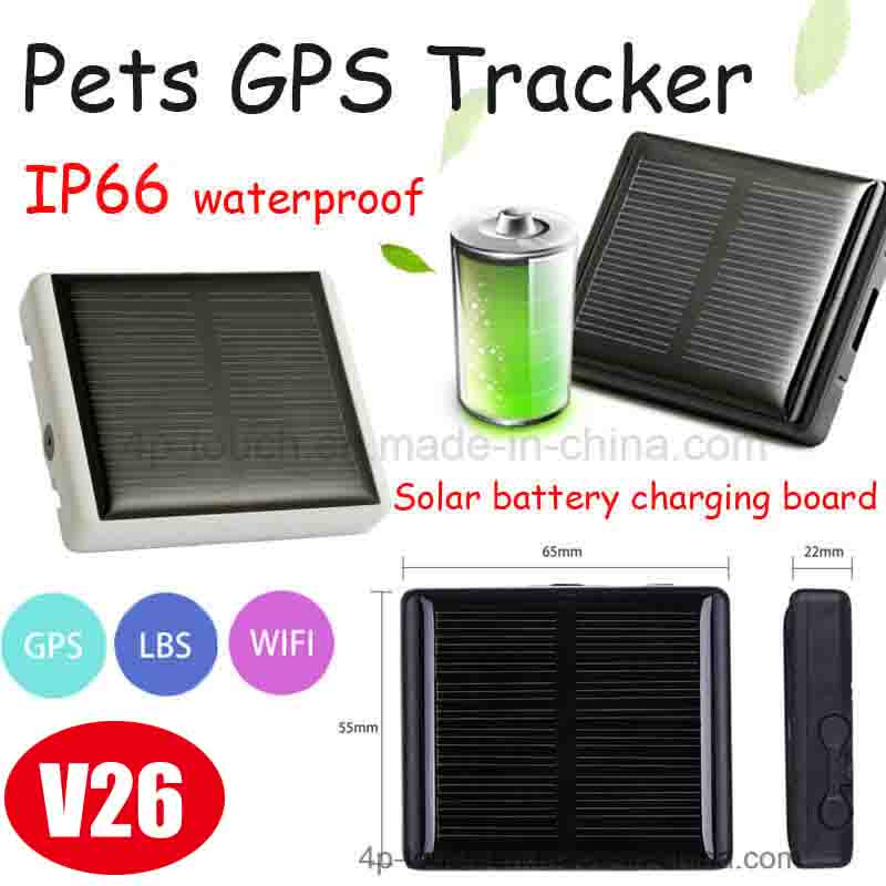 solar powered gps dog collar